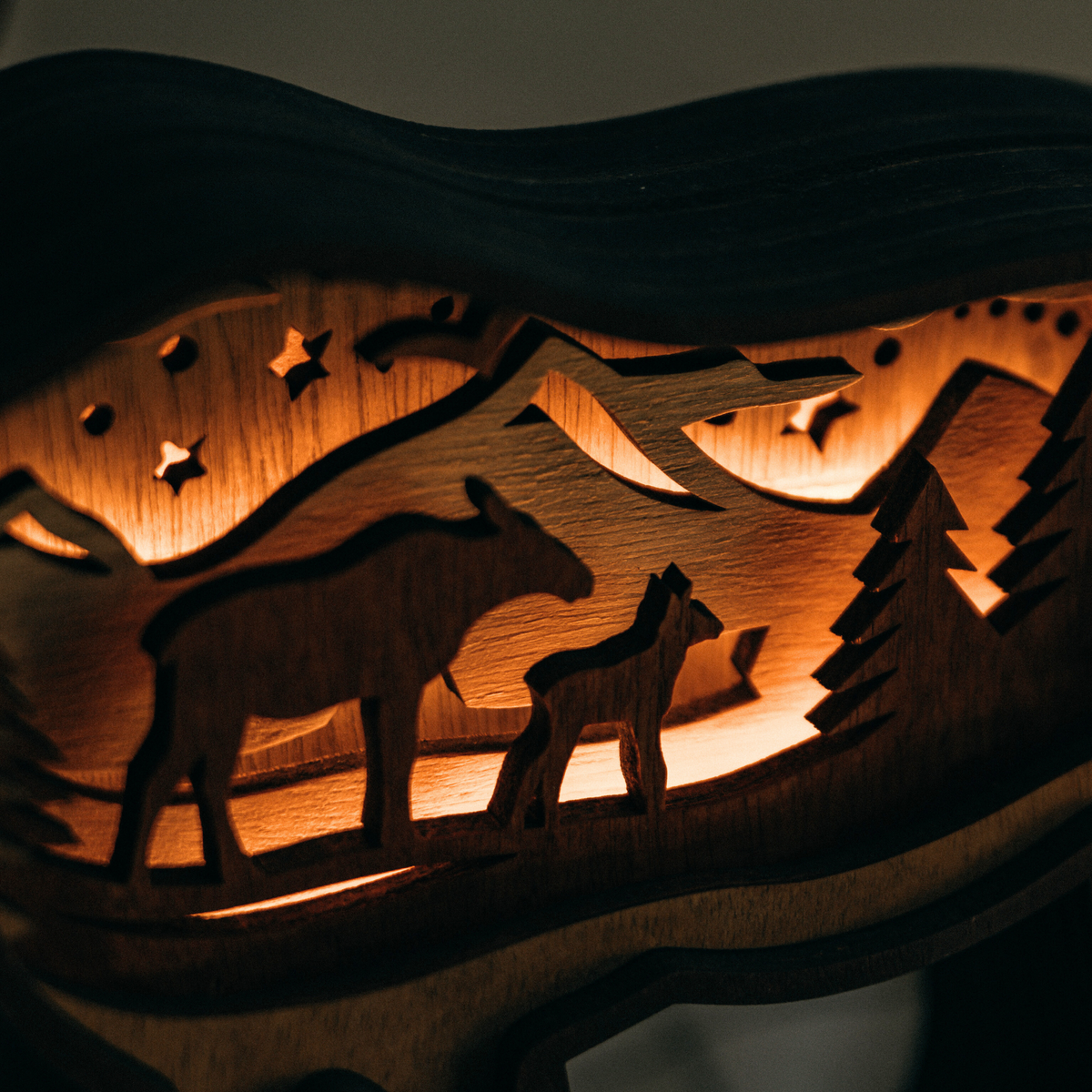 Quiet Wilderness – Illuminated Layered Moose Artwork